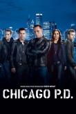 Полиция Чикаго (1-12 сезон)