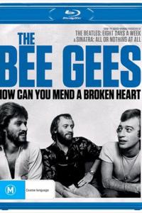 The Bee Gees: How Can You Mend a Broken Heart The Bee Gees: How Can You Mend a Broken Heart