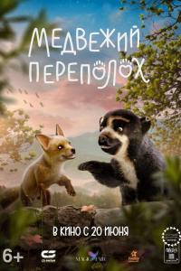 Медвежий переполох ( сезон)