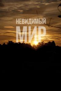 Невидимый мир Невидимый мир