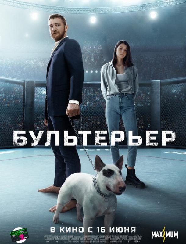 Бультерьер 2021
