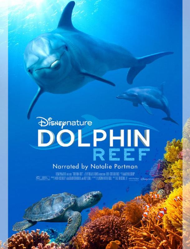Дельфиний риф 2018
