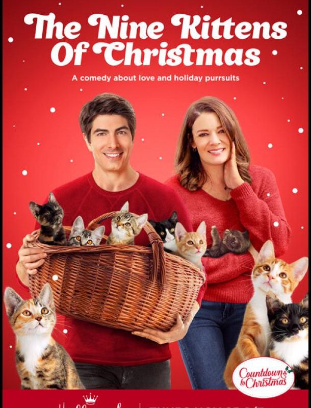 Девять рождественских котят 2021