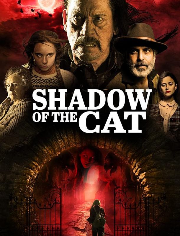 Тень кота 2021