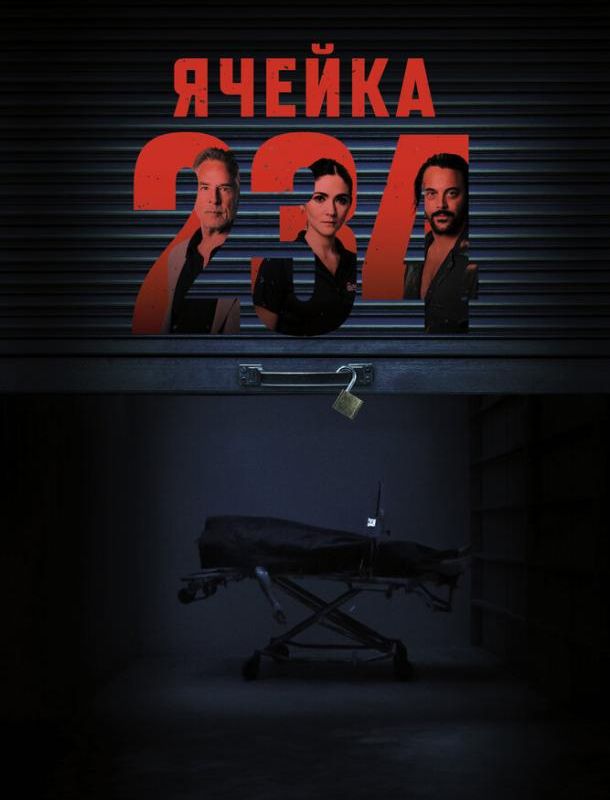 Ячейка 234 2023