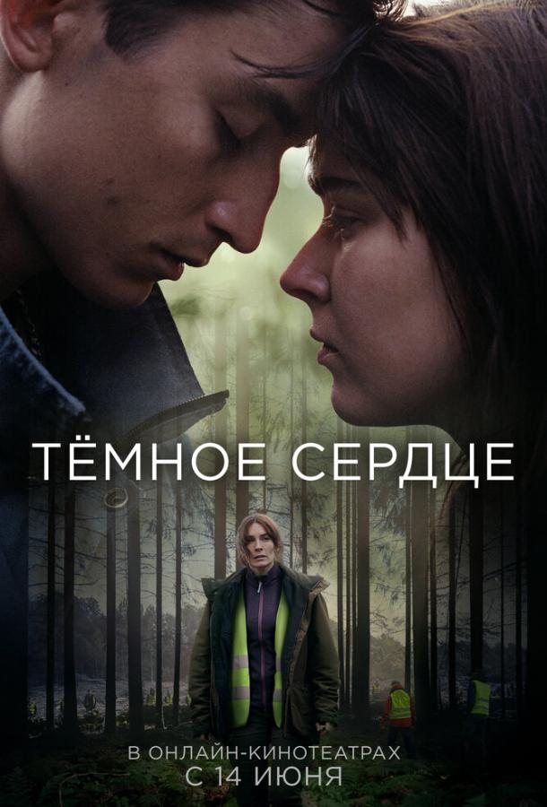 Тёмное сердце (1 сезон) Тёмное сердце (1 сезон)